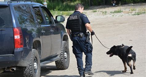 RCMP dogs track repeat offenders after break-in in Oliver ...