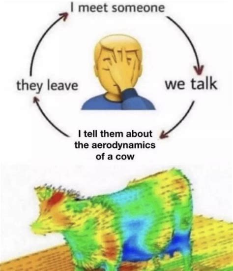 Aerodynamics of cow : r/oddlyspecific