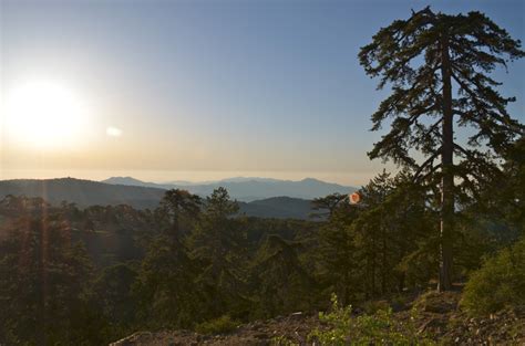 Early morning at Mount Olympus, Cyprus | Cyprus and black pi… | Flickr