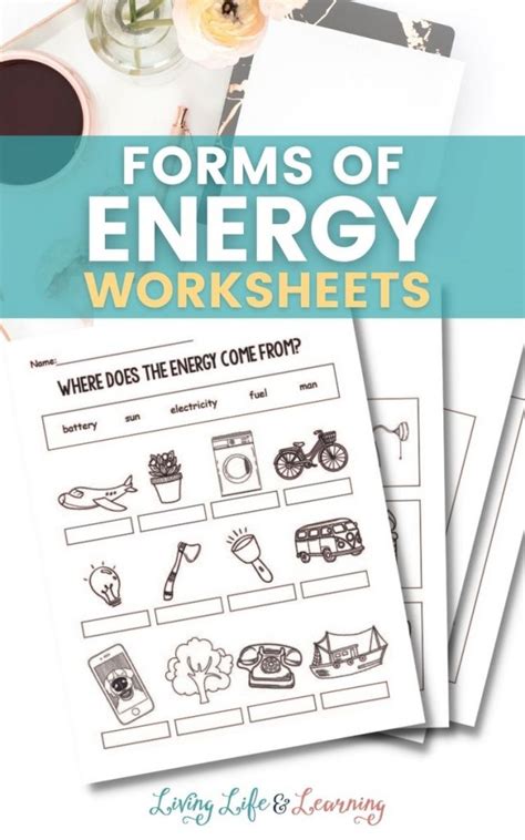 Forms of Energy Worksheets | Free Homeschool Deals