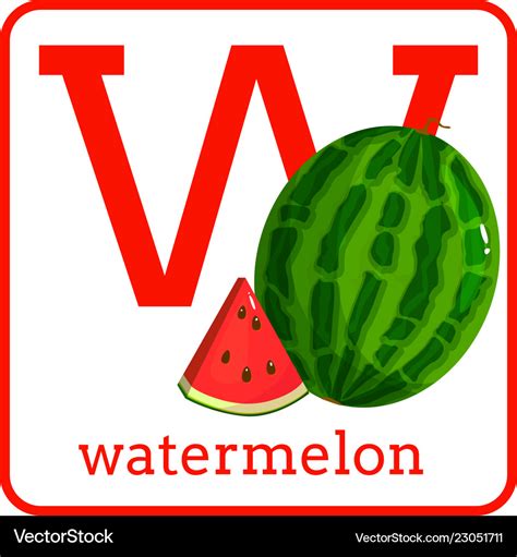 An alphabet with cute fruits letter w watermelon Vector Image