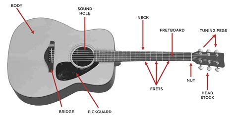 Acoustic Guitar Buyer's Guide