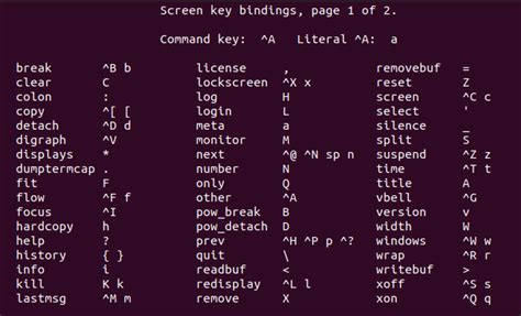 How To Install and Use Linux Screen Command {Tutorial}