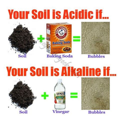 Acidic Compost - DIY