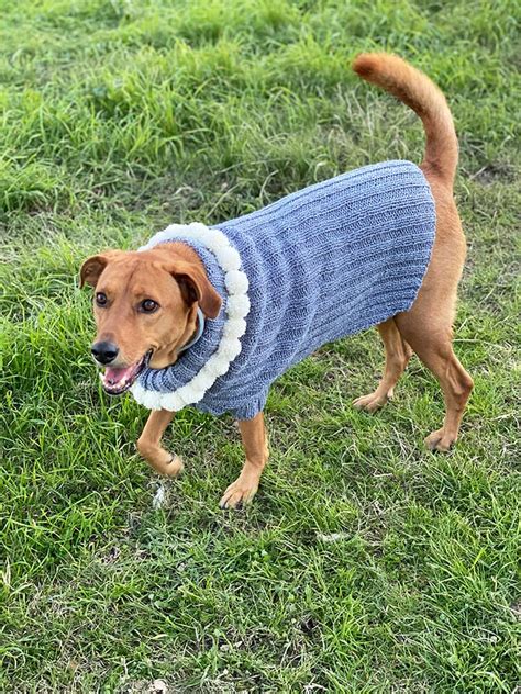 Christmas Dog Sweater Pattern – Handy Little Me Shop