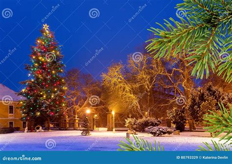 Christmas Tree with Snow by Night Stock Image - Image of branch ...