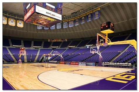 5 Reasons You Should Be At Every LSU Basketball Game This Season