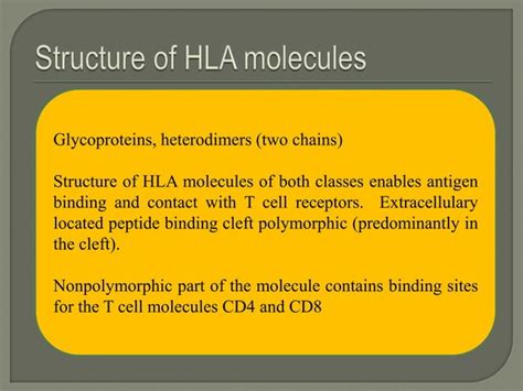 HLA | PPT