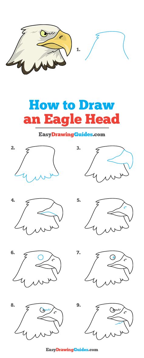 How to Draw an Eagle Head - Really Easy Drawing Tutorial | Eagle ...