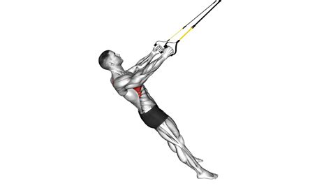 Improve Posture With Suspender Scapular Retraction - Expert Video Guide