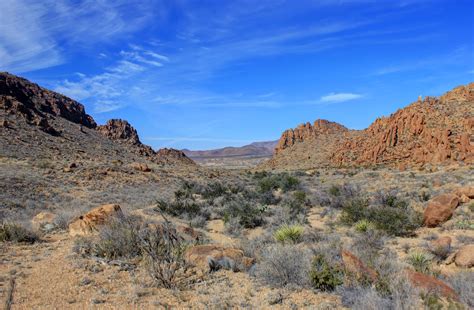 Desert and Hills at Big Bend National Park, Texas image - Free stock ...