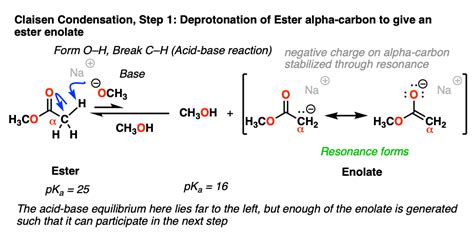 Berg Bewegung schwer claisen condensation mechanism Stammbaum Das ...