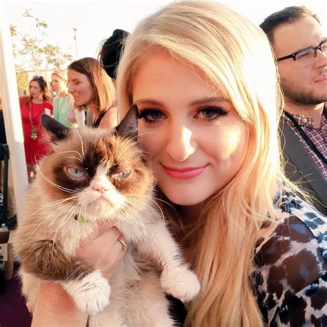 Grumpy Cat on Twitter | Grumpy cat, Meghan trainor, Megan trainor