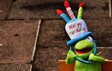 Birthday Congratulations Kermit · Free photo on Pixabay