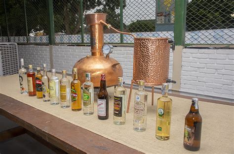 Produção de cachaça cresce na região central do Brasil – Revista Rural