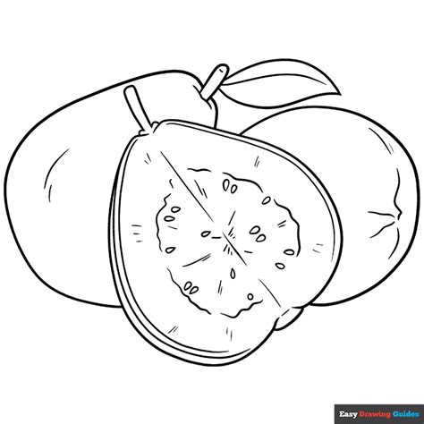 Guava Coloring Page | Easy Drawing Guides