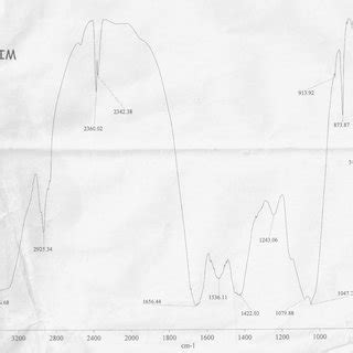 Light Microscope Image of Chlorella vulgaris | Download Scientific Diagram