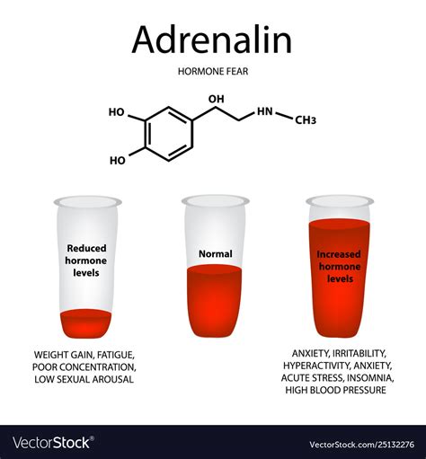 Chemical molecular formula adrenaline hormone Vector Image