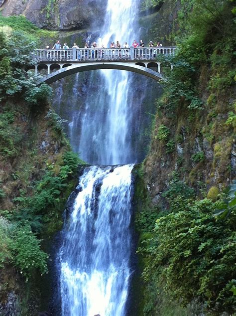 Multnomah Falls, Oregon | Multnomah falls, Outdoor, Waterfall