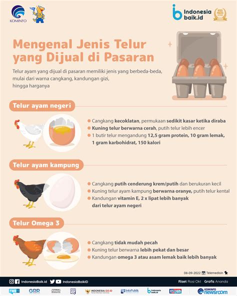 Mengenal Jenis Telur yang Dijual di Pasaran | Indonesia Baik