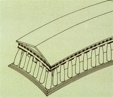 Doric temple diagram showing optical refinements exaggerated | University of dayton, Doric ...