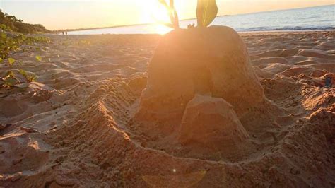 Sandcastle Ideas For Beginners, Tips For Building Sandcastles