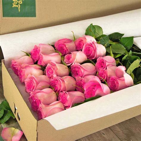 14 Best Flower Delivery Services in Lubbock, TX - Petal Republic