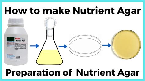 Nutrient agar media composition and Uses - RBR Life Science