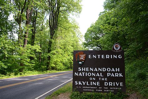 Best Hiking Trails in Shenandoah National Park - The Traveller