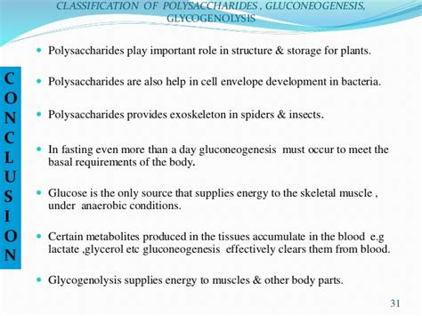 Polysaccharide |Definition, Structure , Functions & Examples