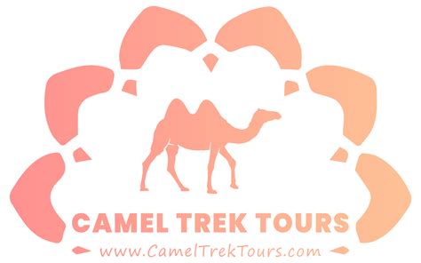 4 Days from Tanger to Marrakech sahara tours - Camel Trek Tours