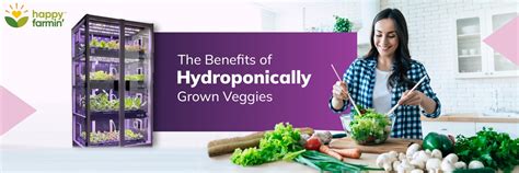 The Benefits of Hydroponically Grown Veggies | Happy Farming