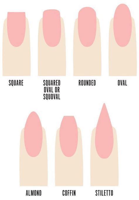 Nail Shape Guide for Manicures | Types of nails shapes, Nail shapes ...