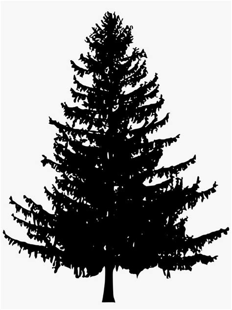 Free Download - Pine Tree Silhouette Png PNG Image | Transparent PNG Free Download on SeekPNG