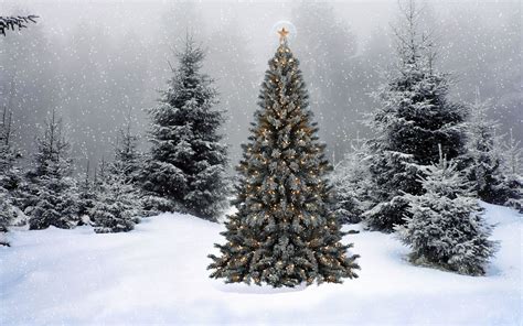 Christmas Scenery Wallpapers (60+ images)