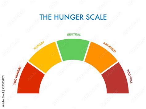 Hunger-fullness scale 0 to 5 for intuitive and mindful eating and diet control. Arch chart ...