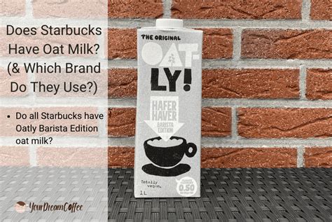 Does Starbucks Have Oat Milk? (& Which Brand Do They Use?)