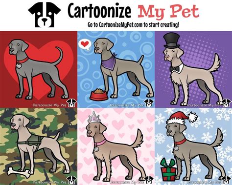 Cartoonize My Pet | Pet dogs, Pets, Weimaraner