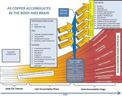 9 best images about high copper on Pinterest | Cause and effect, Vegans and Copper