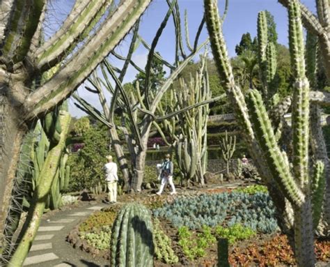 Botanical Garden - Visitfunchal