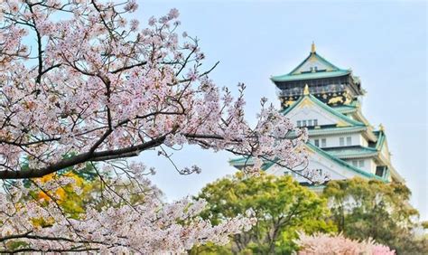 10 Key Cultural Differences between the US and Japan – The Prefectures