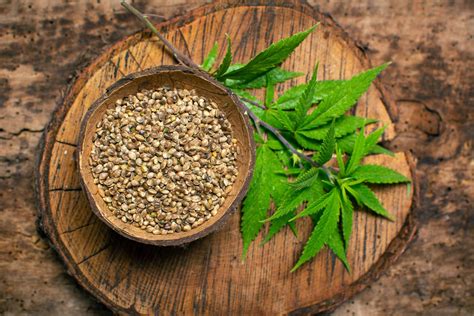 Hemp Seeds: Benefits and How to Use Them | Fine Dining Lovers