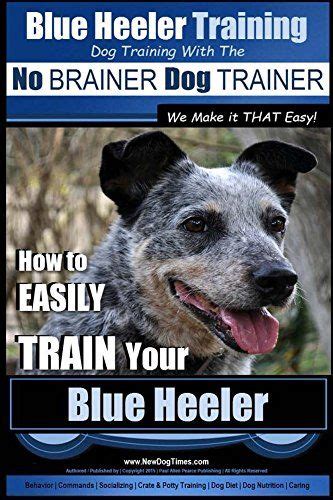 Blue Heeler Training | Dog Training with the No BRAINER Dog TRAINER ...