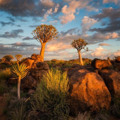 Namibia photo workshop Africa Photography, Photography Tours, Nature ...