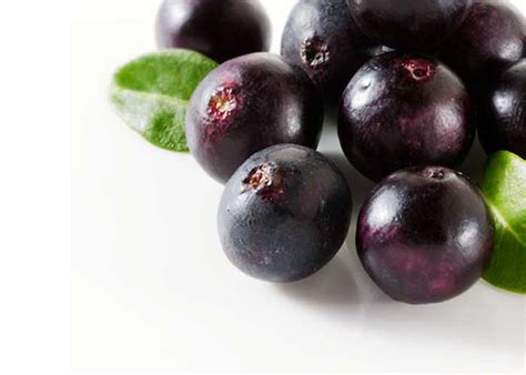 Acai Berry Benefits To Health | ArticleHealth