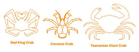 Coconut Crab (Birgus latro) Dimensions & Drawings | Dimensions.com