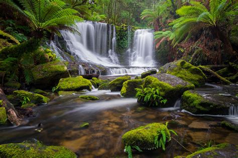 Mount Field National Park - Photography Day - Cam Blake Photography