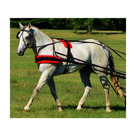 Great Deals on Biothane Driving Harness with Decorative Silver Studs