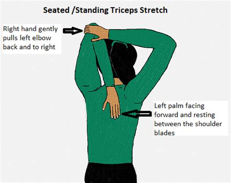 Triceps Stretch - StableMovement Physical Therapy