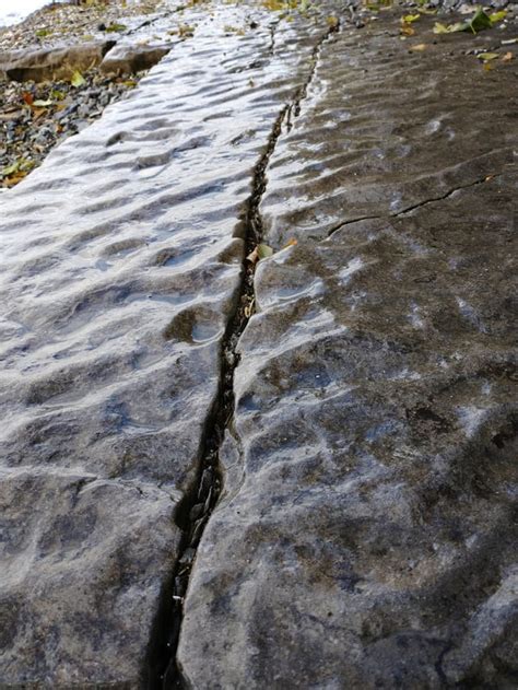 I found some nice ripple marks exposed from low water levels in Lake ...